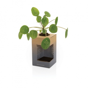 Logotrade promotional gift picture of: Avira Alya RCS Re-steel tumbler 300 ml